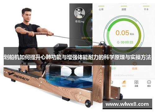 划船机如何提升心肺功能与增强体能耐力的科学原理与实操方法