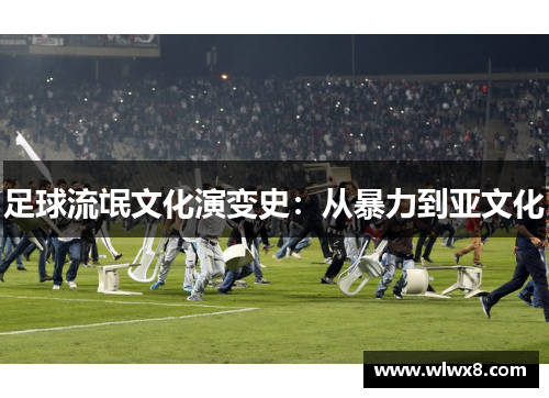 足球流氓文化演变史：从暴力到亚文化