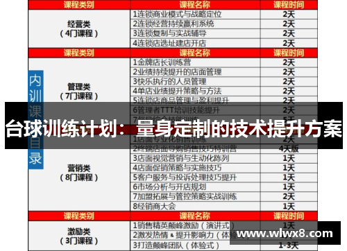 台球训练计划：量身定制的技术提升方案
