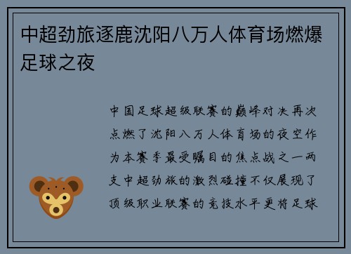 中超劲旅逐鹿沈阳八万人体育场燃爆足球之夜