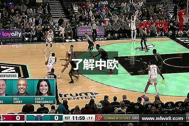 了解中欧